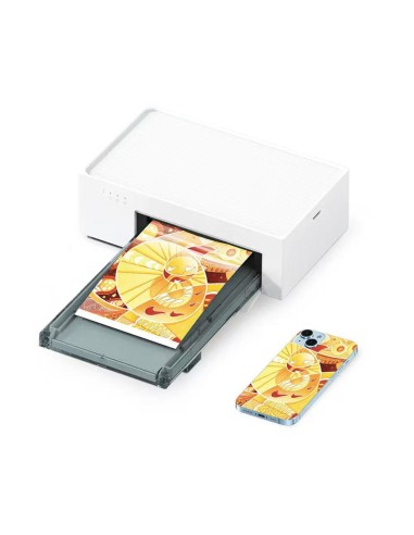 PRINTER FOR CUSTOMISED BACK FILMS